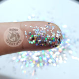 Holographic Silver Chunky Glitter Mix